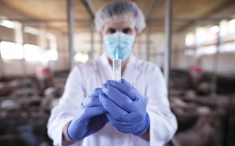 Quais soluções assépticas previnem a contaminação em vacinas veterinárias?