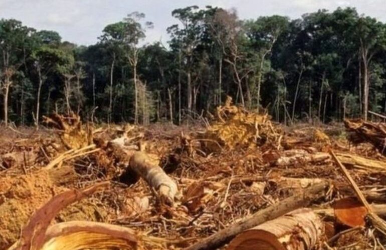 Disputas ambientais impedem acordo comercial entre Mercosul e União Europeia até 2022 devido ao desmatamento no Brasil sob governo Bolsonaro.