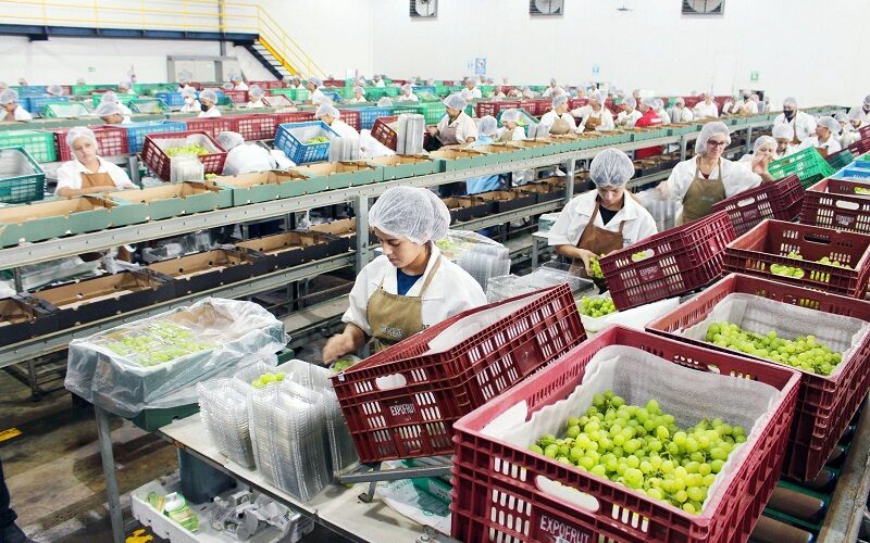Mercosul e União Europeia abrem as portas para o agronegócio brasileiro acessar o mercado europeu