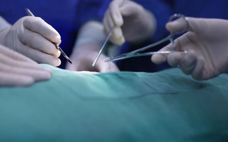 Após transplante de células-tronco, homem permanece livre do HIV por mais de seis anos