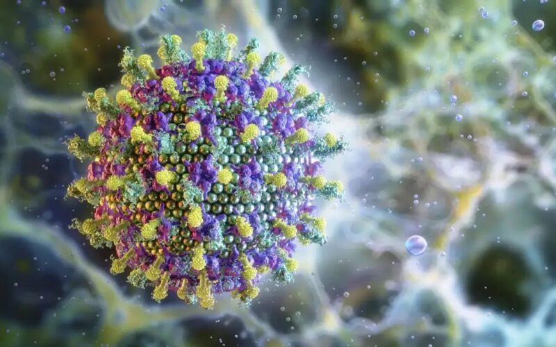 Ministério da Saúde afasta ameaça de vírus Nipah no Brasil e acalma população