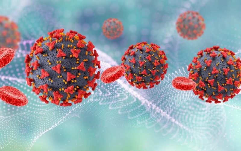 Especialistas em saúde alertam para os principais vírus preocupantes em 2026: H5N1, mpox e Oropouche