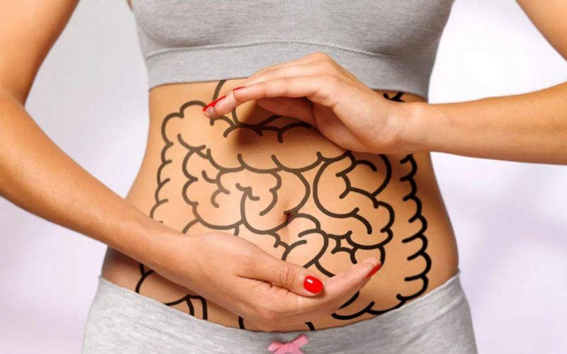 Nutrindo o seu ‘segundo cérebro’: sugestões para manter a microbiota intestinal saudável