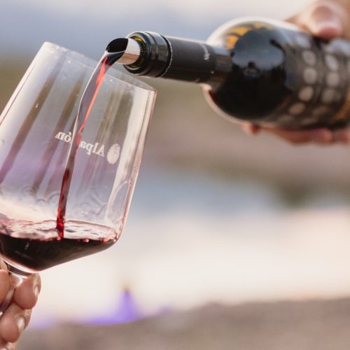 Dia do Malbec é celebrado em 17 de abril: conheça a história da uva francesa que virou símbolo da Argentina