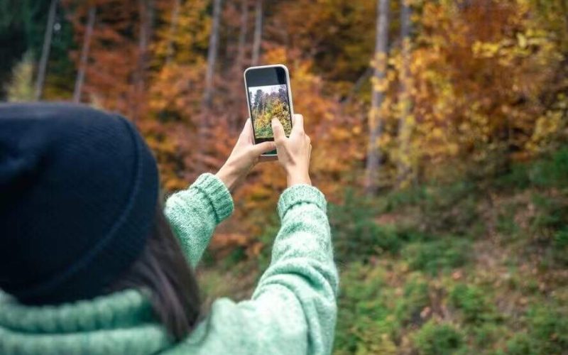 Imersão na Natureza: Vídeos Relaxantes Elevam o Espírito e Proporcionam Conexão Sem Precisar Sair de Casa