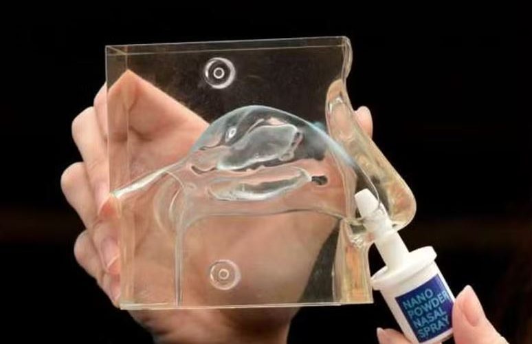 Spray nasal inovador transporta medicamento ao cérebro em tratamento de AVC, dispensando cirurgia
