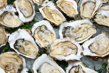 Superbactéria alarmante da OMS detectada pela primeira vez em alimentos no Brasil