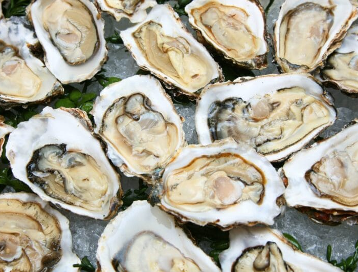 Superbactéria alarmante da OMS detectada pela primeira vez em alimentos no Brasil