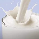 Leites vegetais versus leite de vaca: pesquisas revelam diferenças em proteínas e açúcares