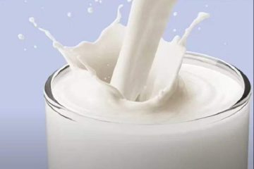 Leites vegetais versus leite de vaca: pesquisas revelam diferenças em proteínas e açúcares